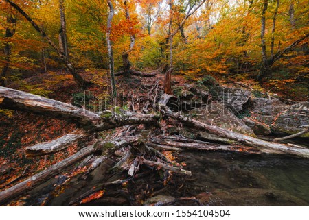 Beautiful waterfall in the autumn forest on a mountain stream