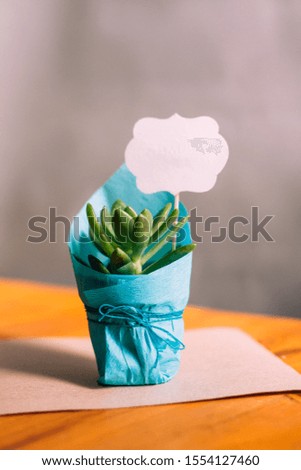 Small succulent in blue pot with white sign
