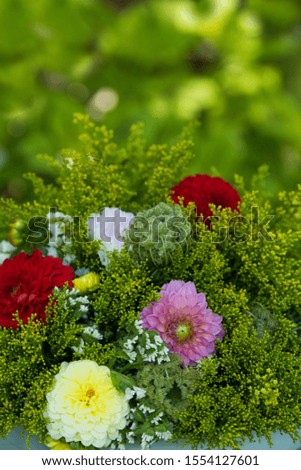 Colorful flower bouquet with dahlias