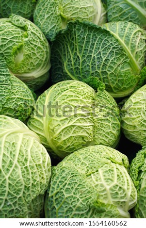   Fresh green savoy cabbages as background, top view                              Royalty-Free Stock Photo #1554160562