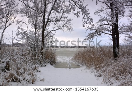 Winter lanscape with frozen lake and trees