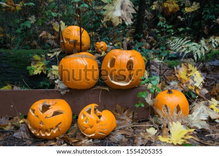 A wide variety of Halloween pumpkins are displayed on the side of a road.