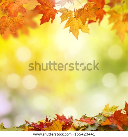 autumn background 