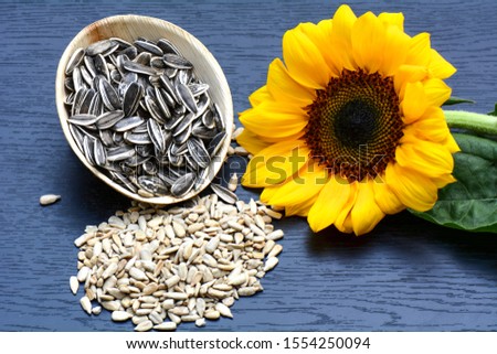 Sunflower, flowers, petals and seeds