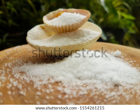 White sea salt in shells Royalty-Free Stock Photo #1554261215