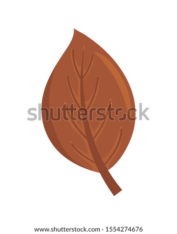 beautiful autumn leaf on white background vector illustration design