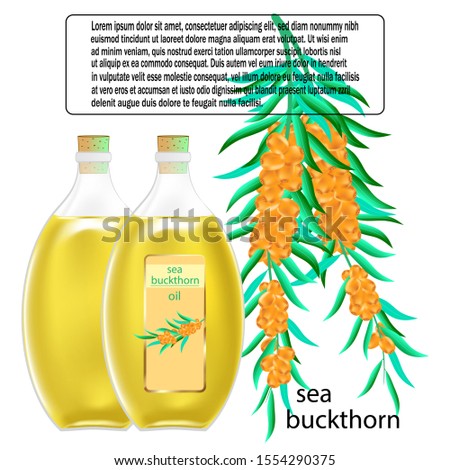Sea buckthorn oil in glass bottle on a white background. vector illustration.