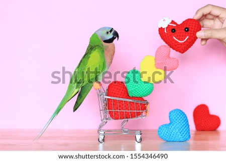 Parrot on model miniature shopping cart and colorful of handmade crochet heart for valentines day