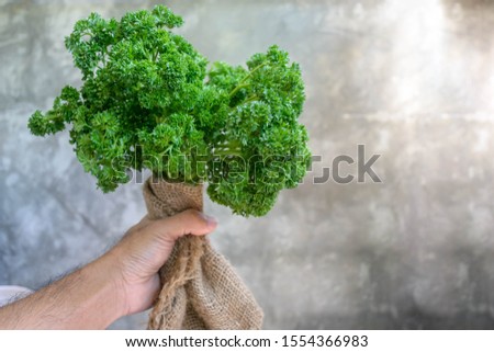 selective focus of fresh parsley in hand on cement surface background with copy space