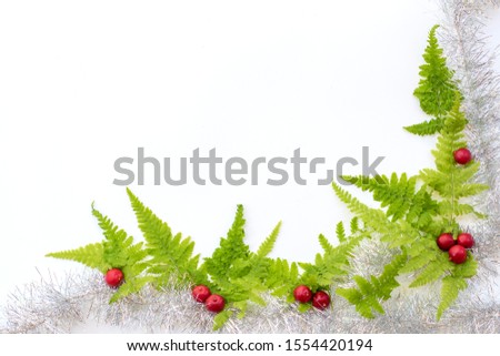 christmas background with fir branches and red berries