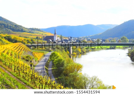 autumn colors in Mosel valley, Bruttig-Fankel