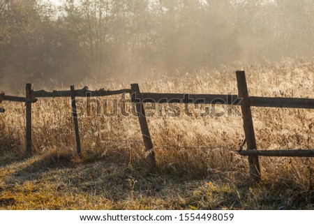 Close-up of a barbed wire fence entangled in autumn cobwebs against a background of grass covered with morning hoarfrost