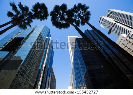 LA Los Angeles downtown with palm trees details on cityscape