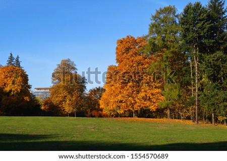 Beautiful autumn landscape - Autumn trees .Golden  autumn in park 