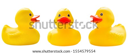 rubber ducks isolated on a white background Royalty-Free Stock Photo #1554579554