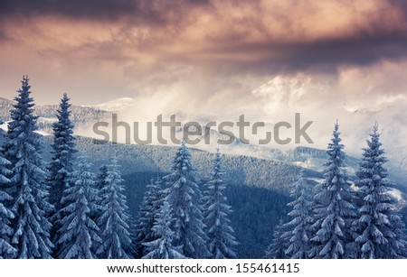 Fantastic winter landscape. Dramatic overcast sky. National Park. Carpathian, Ukraine, Europe. Beauty world.