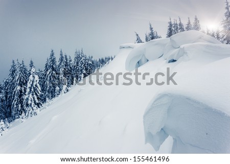 Fantastic winter landscape. National Park. Carpathian, Ukraine, Europe. Beauty world.