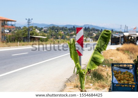 road sign blue sky green plants