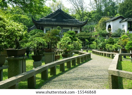 Bonsai trees at chinese traditional garden, Suzhou, China
