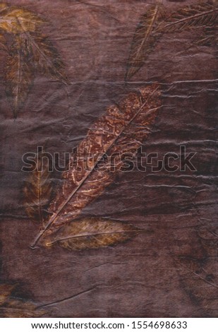 eco printing images on paper