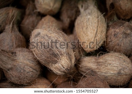 A pile of coconuts. Nicely displayed at a market stand in Little India, Singapore.