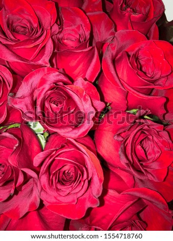 A bouquet of red roses 