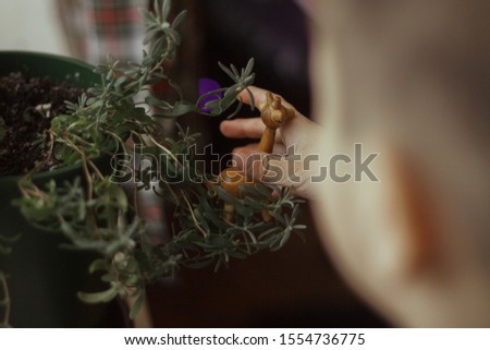 
A home plant in a pot (lavender) stands on a white windowsill. Little children's pens hold a wooden toy of a giraffe and play in green leaves.