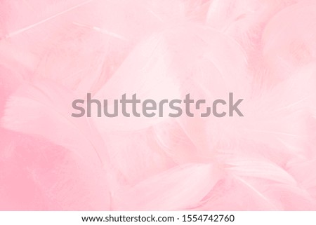 Beautiful sweet soft pink feathers background