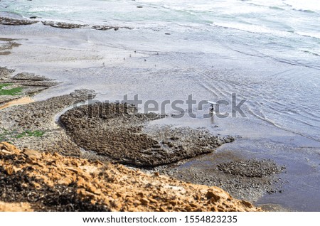 View of waves hitting the rocks. Ocean, background.