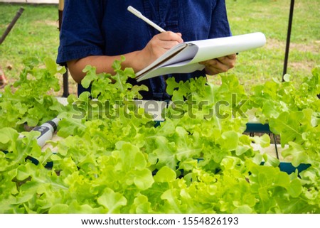 Closeup agriculturist record data of hydroponic plant. Trendy agriculture for not soil.