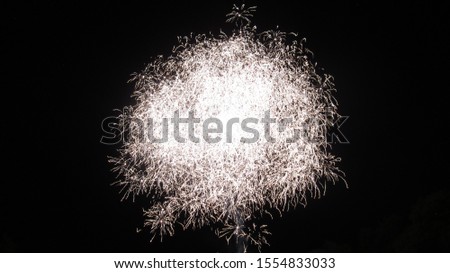 A picture of fireworks in night sky