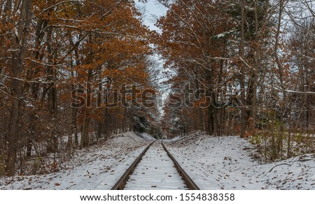 railroad tracks in the winter with autumn leaves still showing