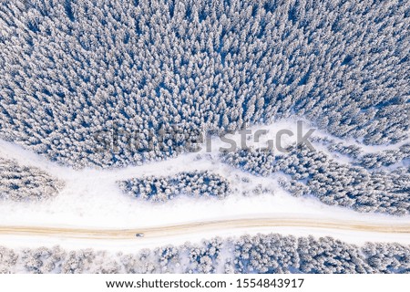 Thick coniferous forest after heavy blizzard, aerial landscape. Travelling in winter
