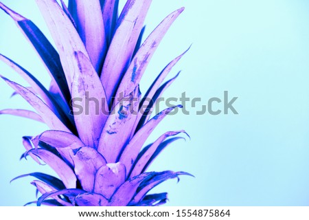 close up pineapple leaves toned in neon lights on a blue background with copy space