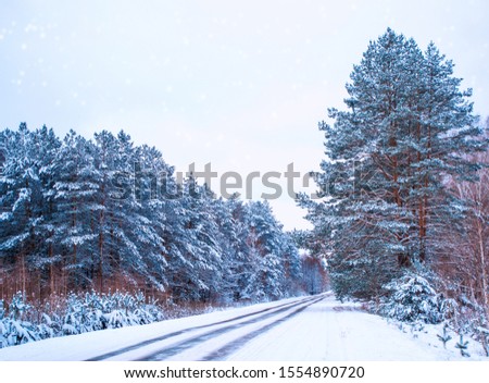 Road in the forest. Winter landscape. Snow covered trees. 