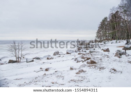 Beautiful scene of frozen lake. Typical scene of a beautiful white Christmas. gulf after a snow storm. Beautiful white scene during winter.snow on the shore of a frozen lake. sky is gray. Waiting for