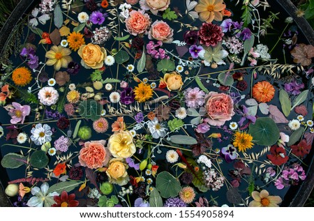 Flowers candles float on the bath, gardens floral, top view Royalty-Free Stock Photo #1554905894