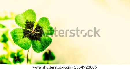 Four Leaf Clover on the left with free space for text