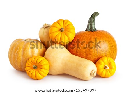 Composition of a different varieties of pumpkins on a white background.