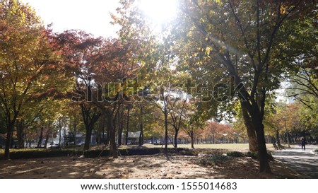 These pictures show the landscape of autumn in Korea.