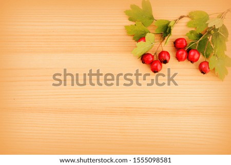 Branch with ripe hawthorn berries on a wooden background. Top view, flat lay