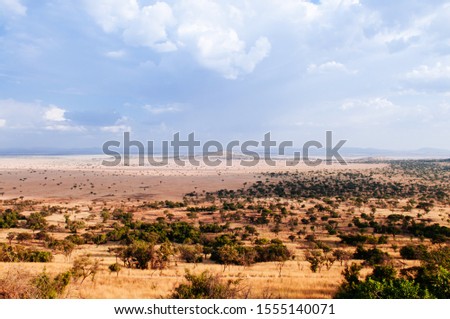Serengeti Grumeti Reserve wildlife park grass plain beautiful wide landscape and mountain hill under evening warm light with clouds sky Royalty-Free Stock Photo #1555140071