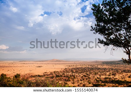 Serengeti Grumeti Reserve wildlife park grass plain beautiful wide landscape and mountain hill under evening warm light with clouds sky Royalty-Free Stock Photo #1555140074
