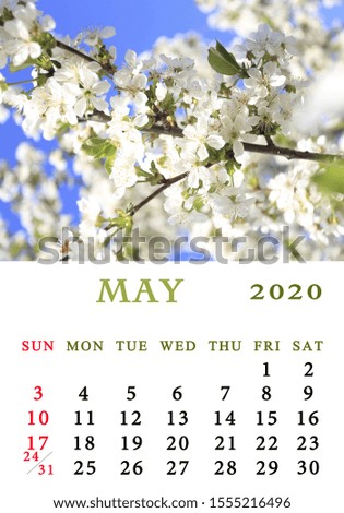 calendar for the year 2020 the month of may