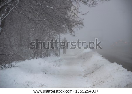 
a silhouette in fog in winter