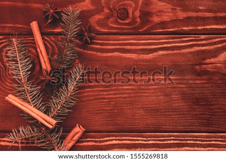 spruce branch, cinnamon, and anise on a wooden background, top view