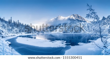 Winter panoramic landscape with scenic frozen mountain lake and clear blue sky. Alps, Switzerland. Royalty-Free Stock Photo #1555300451