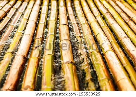 bamboo raft in water
