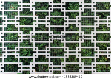 Decorative gardening element fence pattern with evergreen plant bushes.
