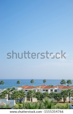 View from the coastal hotel on palm trees and the sea